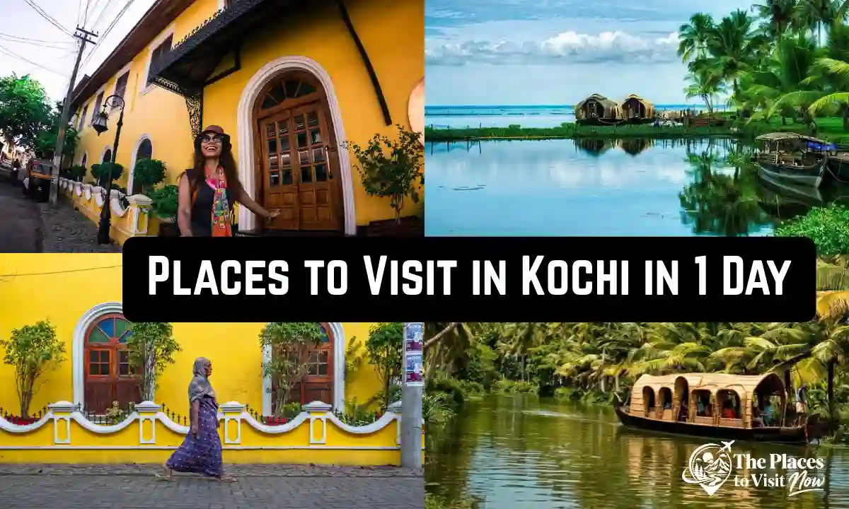 Places to Visit in Kochi in 1 Day: Cross the Water Once