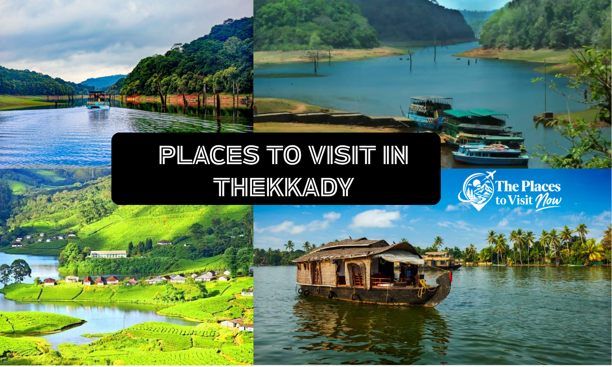 Places to Visit in Thekkady